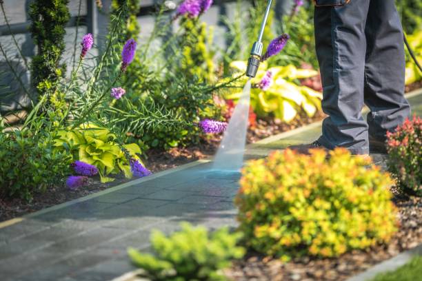 Best Restaurant Pressure Washing  in Morada, CA